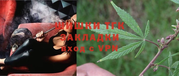 крисы Кодинск