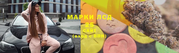 крисы Кодинск