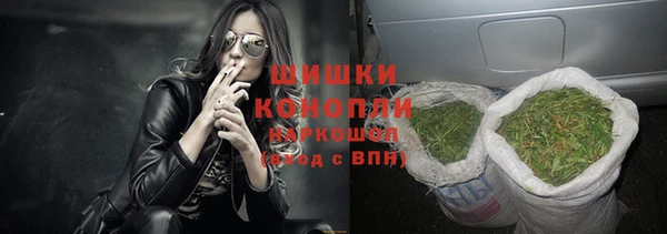 шишки Козловка