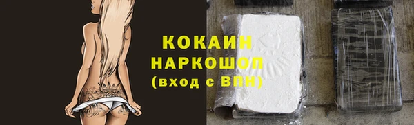 шишки Козловка