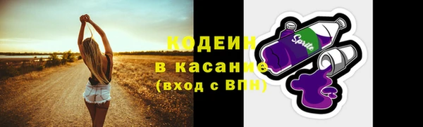 шишки Козловка