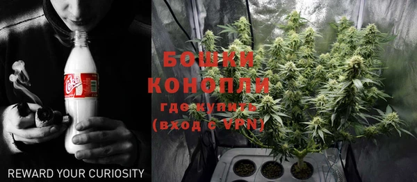 крисы Кодинск