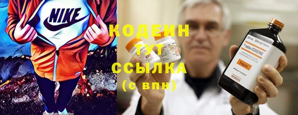 крисы Кодинск