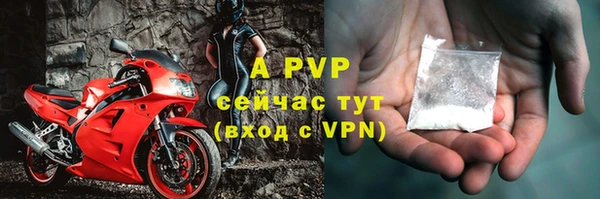 крисы Кодинск