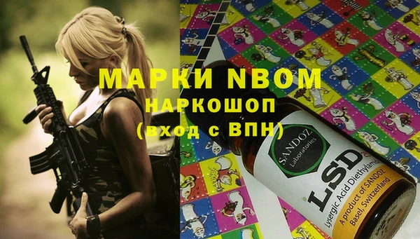 шишки Козловка